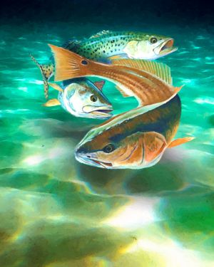 Gulf Coast Fish