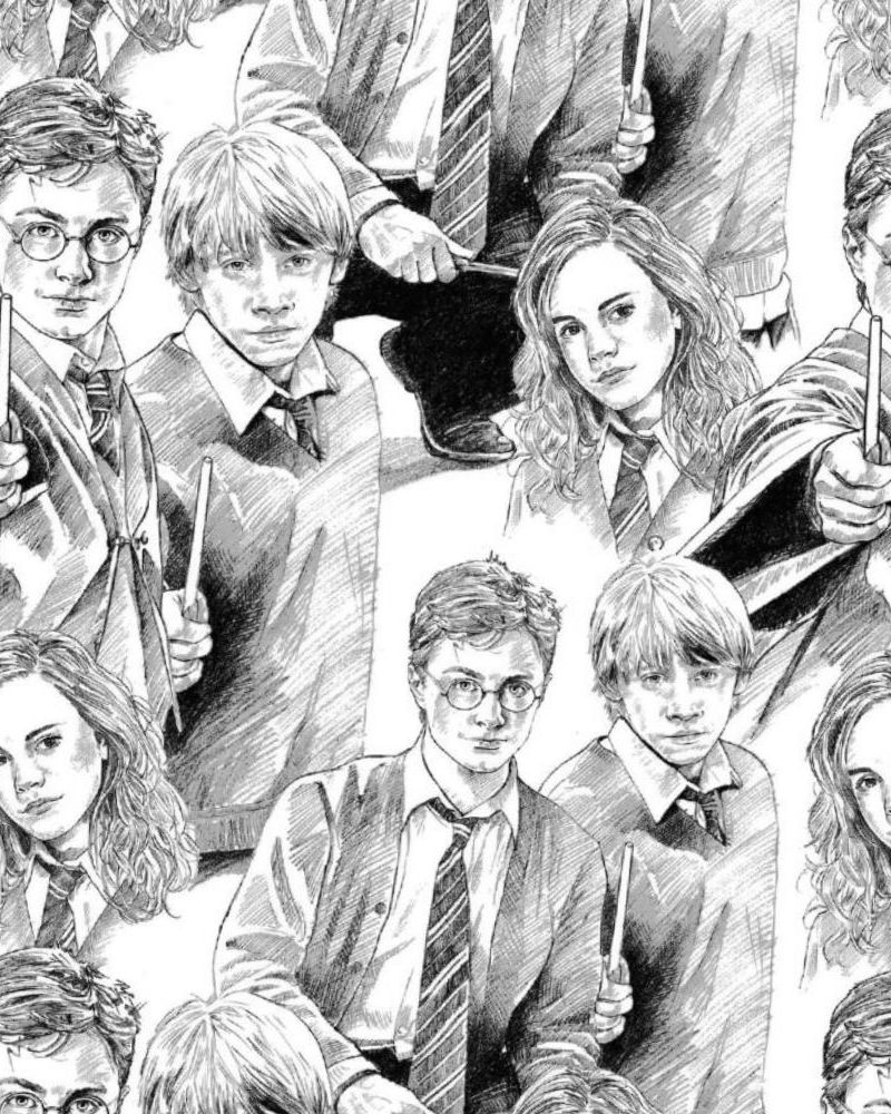 H Potter Pencil Sketch