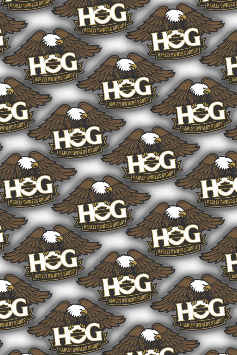HOG 22