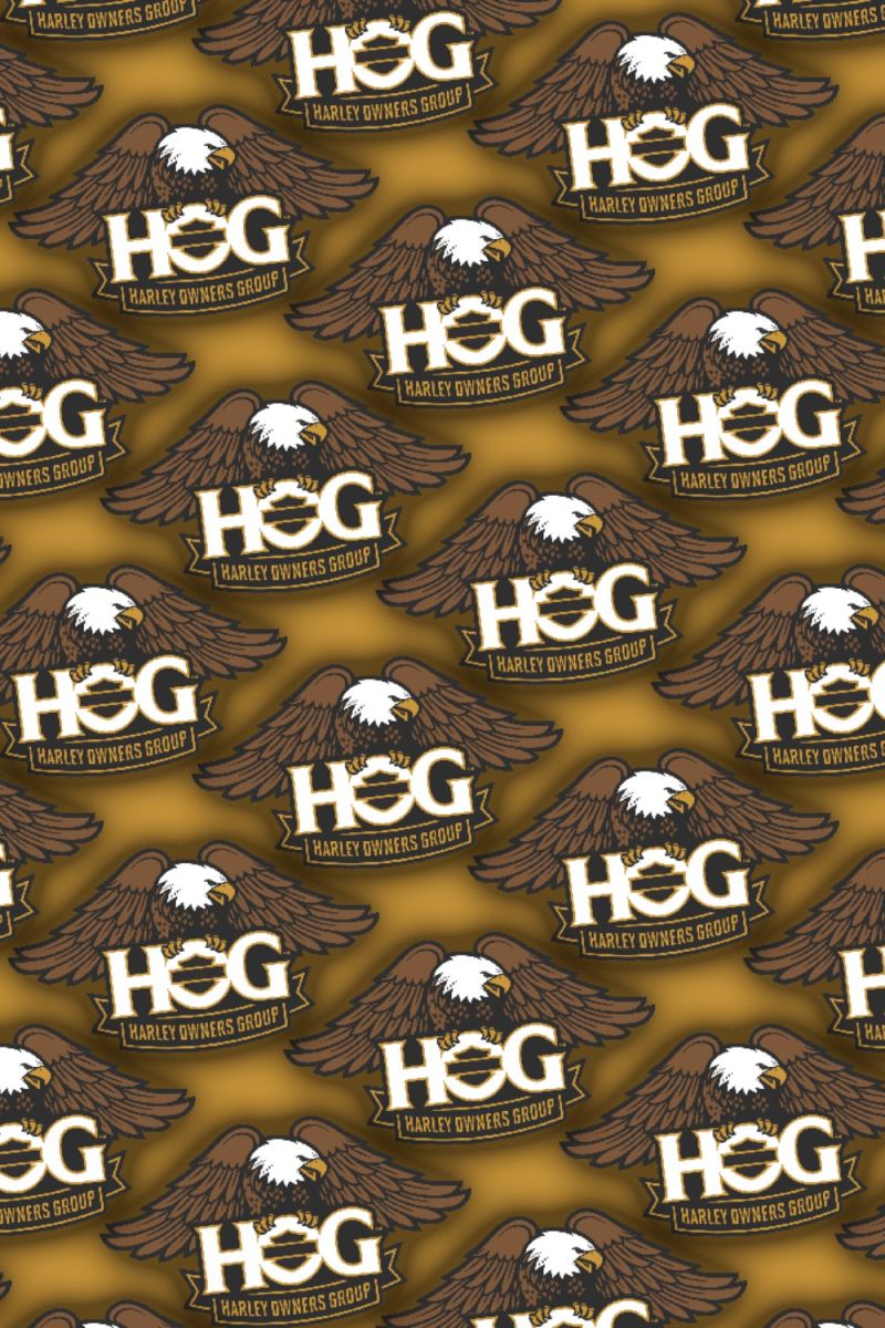 HOG 24