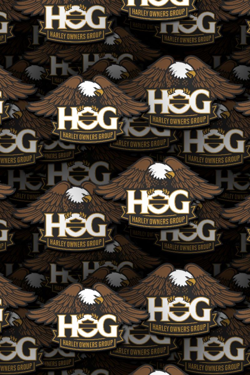 HOG 26
