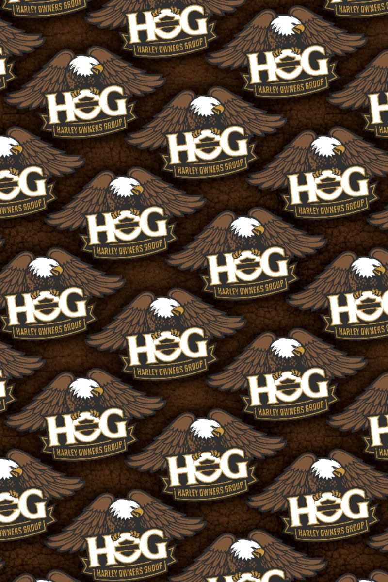 HOG 27