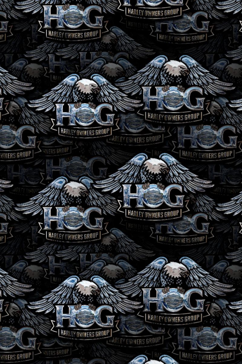 HOG 28