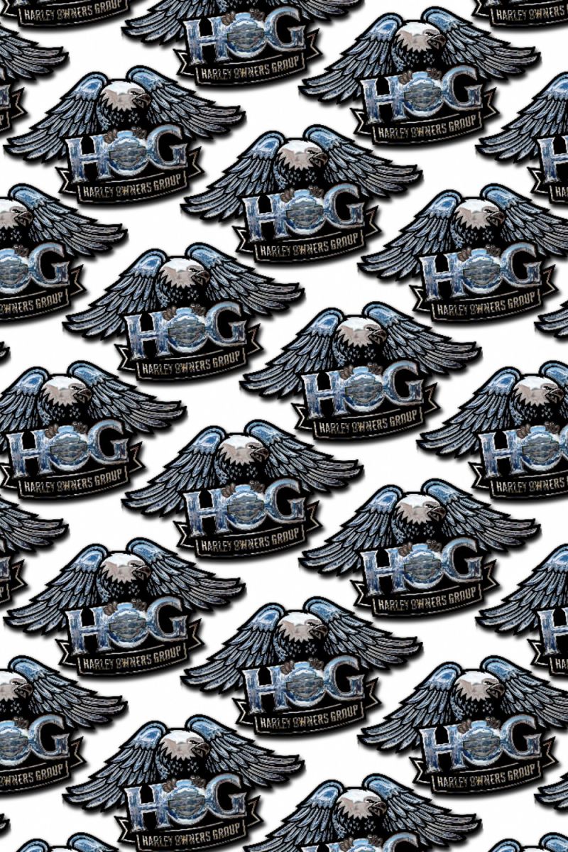 HOG 29