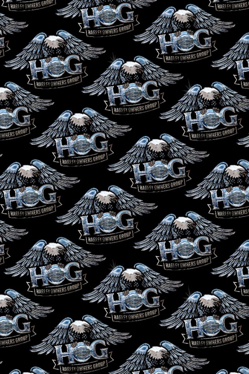 HOG 31