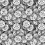 Half-Dollars-23.jpg