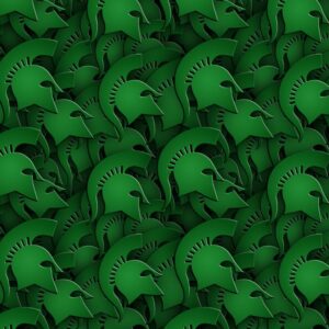 Halton Spartans