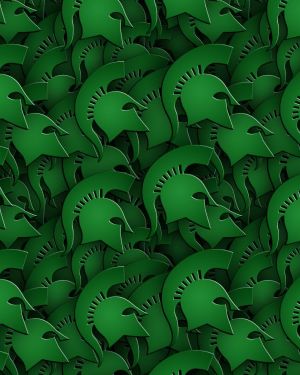 Halton Spartans