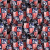 Hampton-and-Richmond-Borough-FC.jpg