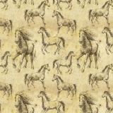 Hand-Drawn-Horses.jpg