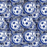 Hapoel-Ashkelon.jpg