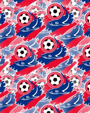 Hapoel Haifa