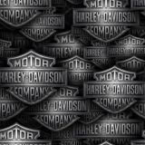 Harley-Cast-Iron-22.jpg