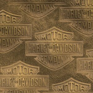 Harley Embossed Leather 22