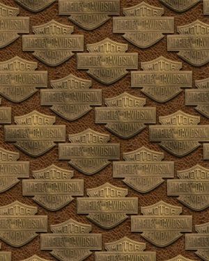 Harley Embossed Leather 24