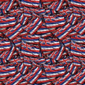 Hawaii State Flag