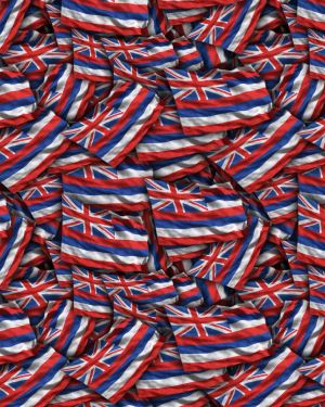 Hawaii State Flag