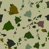 Hawaiian-23-Camo.jpg