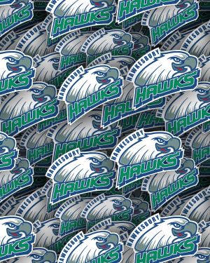 Hawkesbury Hawks