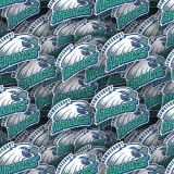 Hawkesbury-Hawks.jpg