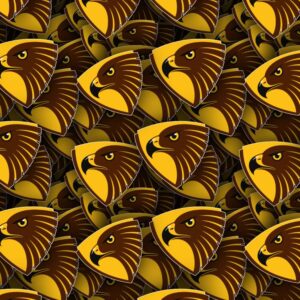 Hawthorn Football Club