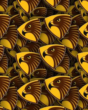 Hawthorn Football Club