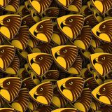 Hawthorn-Football-Club.jpg