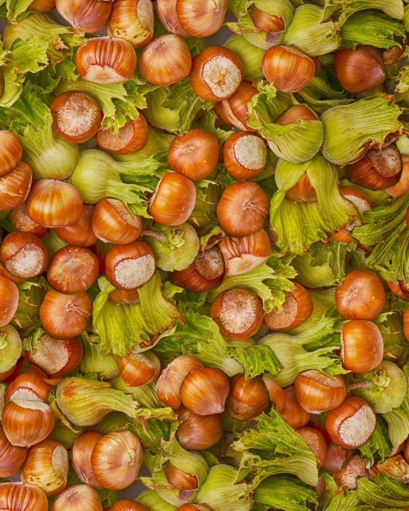 Hazelnuts With Shells