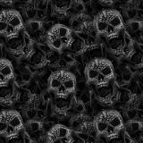 Head-Shot-Skulls-23.jpg
