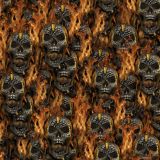 Head-Shot-Skulls-Fire.jpg