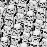 Hear-No-Evil-Speak-No-Evil-24-Transparent.jpg