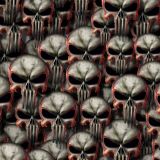 Heated-Punisher-thumb.jpg