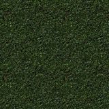 Hedge-23.jpg
