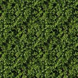 Hedge-25.jpg