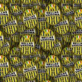 Hellas-Verona-FC.jpg