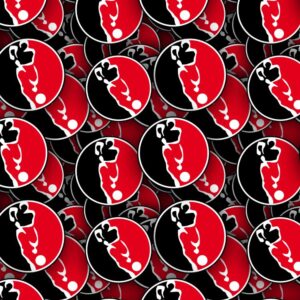 Helmond Sport