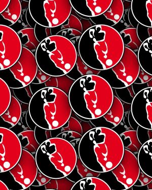 Helmond Sport