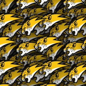 Hertfordshire Cheetahs