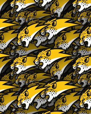 Hertfordshire Cheetahs