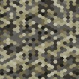 Hexagon-23-Camo.jpg
