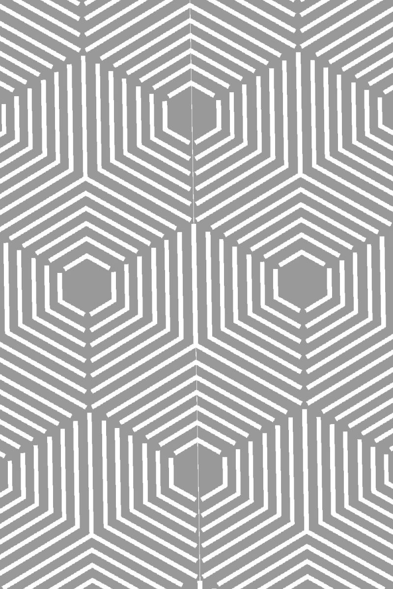 Hexagon Cube Illusion 21