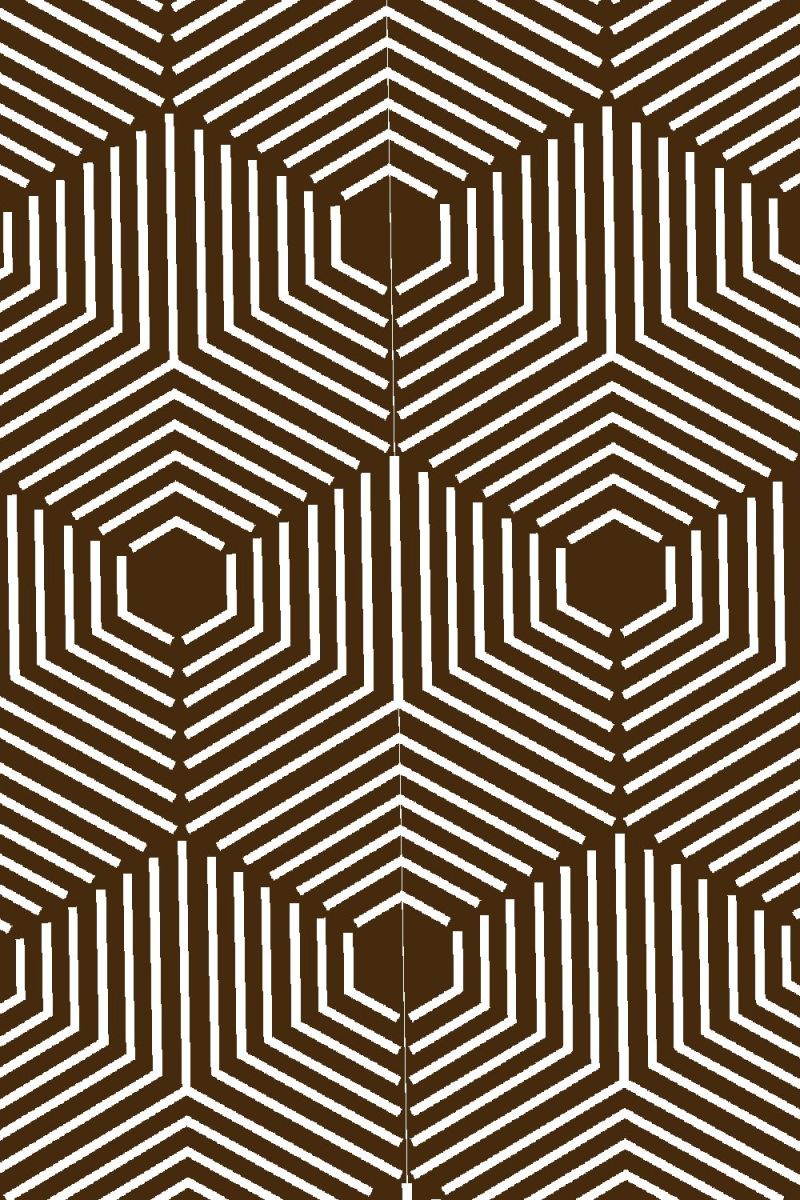 Hexagon Cube Illusion 23