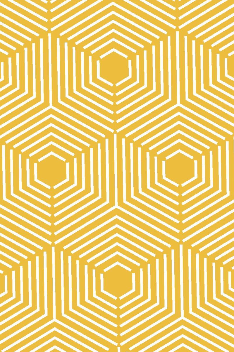 Hexagon Cube Illusion 26