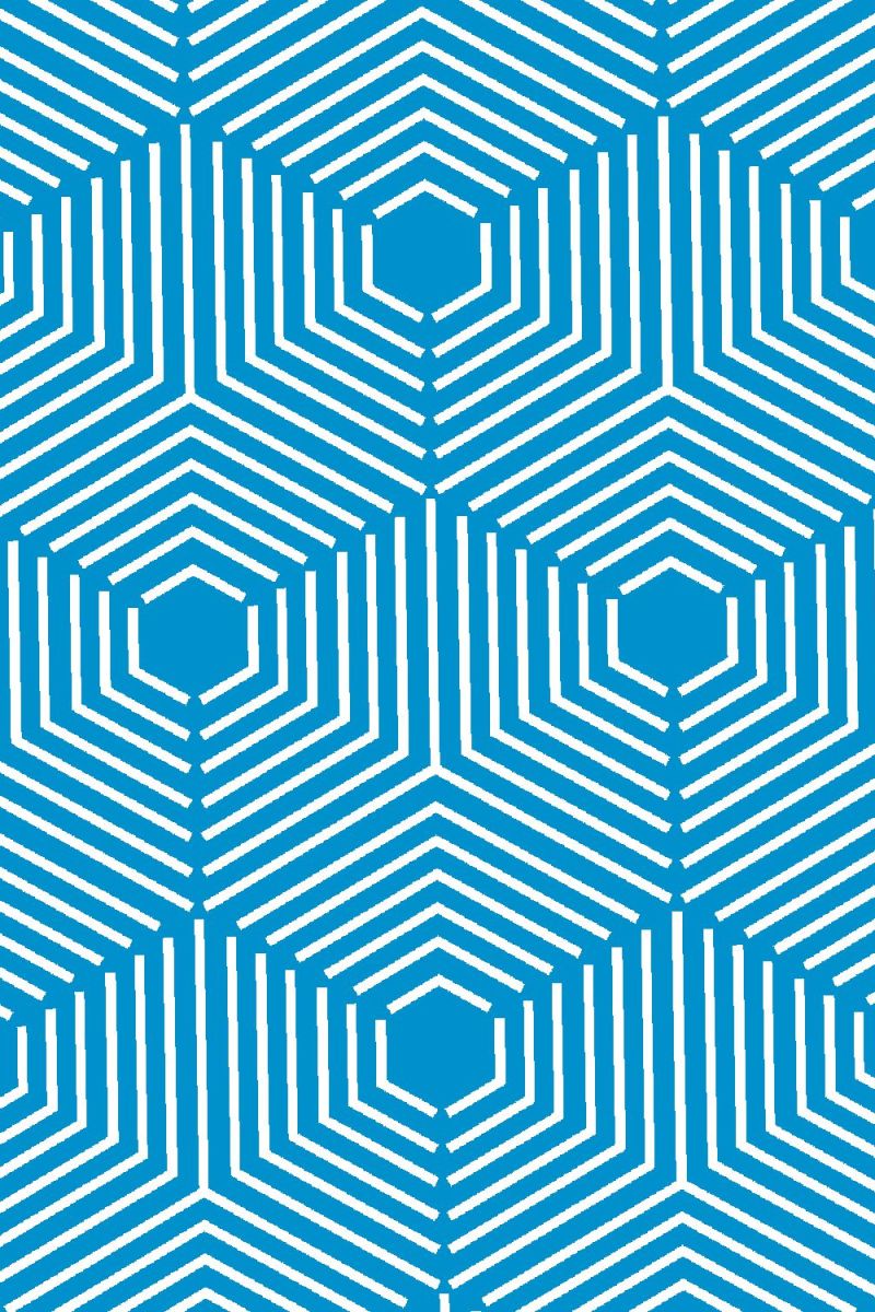 Hexagon Cube Illusion 28