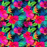 Hibiscus-22.jpg