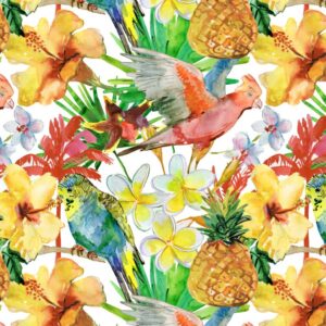 Hibiscus and Parakeets