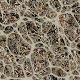 Hidden-Strand-Camo-23-thumb.jpg