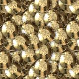 Hillary-Gold-Coins-23.jpg