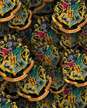 Hogwarts 22