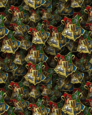 Hogwarts 23